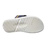 CAR-CTG11863CTG26115--3-
