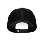 JAC-3680--2-