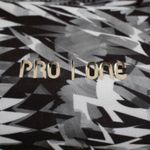 PRN-P1019030--3-