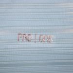 PRN-P258680--3-