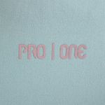 PRN-P178110--3-