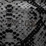 PRN-P2019620--3-