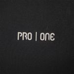 PRN-P254250--3-