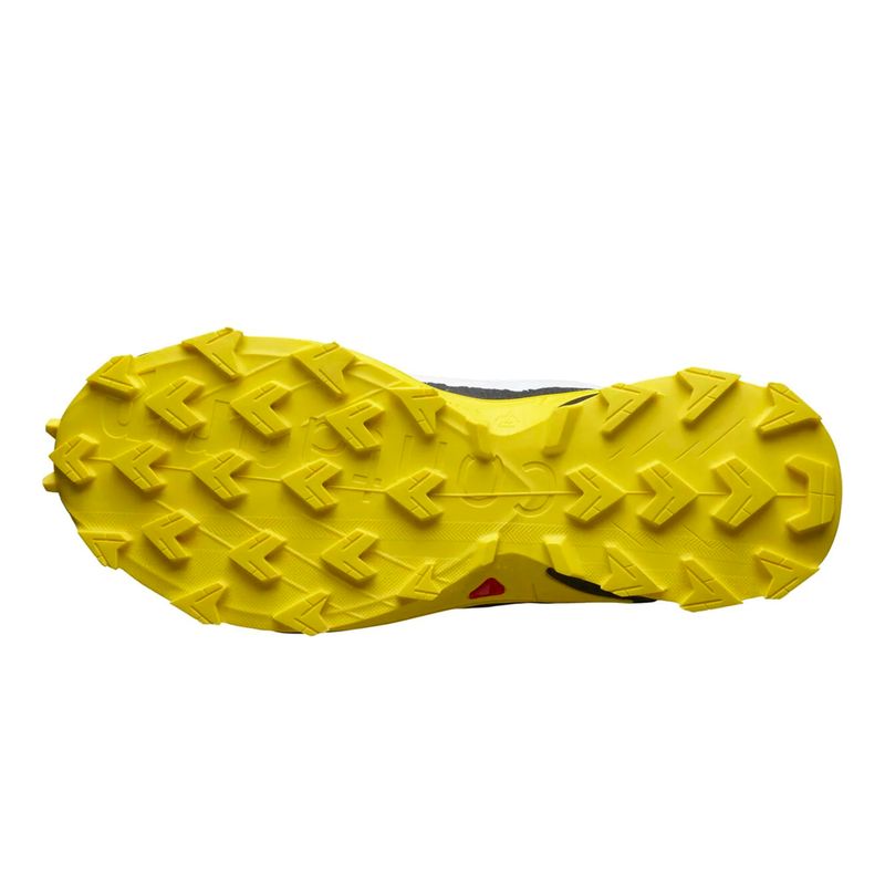SAL-417244--2-