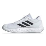 ADI-IF0954--2-