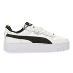 PUM-39239803--1-