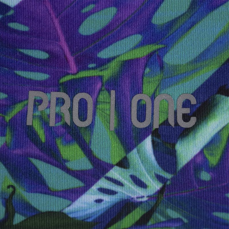 PRN-P1018580--3-