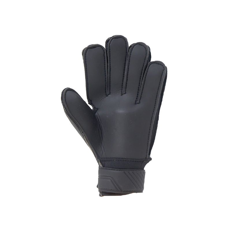 POS-120NEGVERGRI--2-