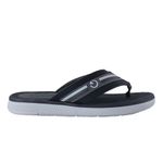 CAR-CTG11404CTGAD689--1-