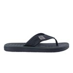 CAR-CTG11619CTGAD599--1-