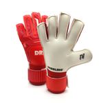 DRI-DFIAGU031R--2-