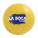 SOR-10305CAMINITO--1-.jpg