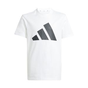 Conjunto Moda Adidas Essentials Bn Ng Niños