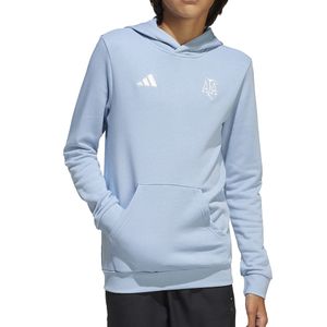 Buzo Moda Adidas ADN Aniv 50 AFA Cl Niños