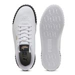 PUM-40036509--3-