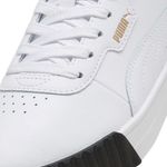 PUM-40036509--4-
