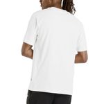 NEB-N2T000274100--2-