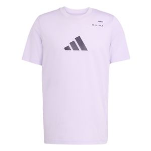Remera Adidas Category Graphic Li Hombre