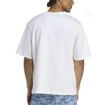 ADI-JV7570 -3-
