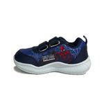 FOO-SP3681 -2-
